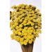 FLORAL BUTTONS Yellow 18" (BULK)